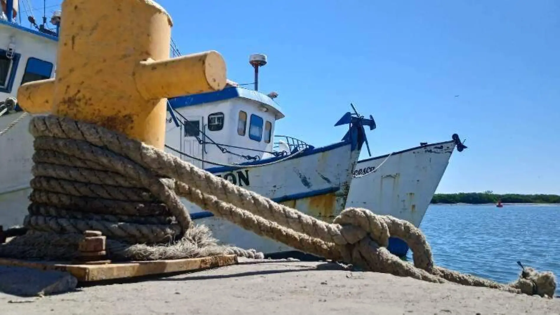 barcos - camaroneros